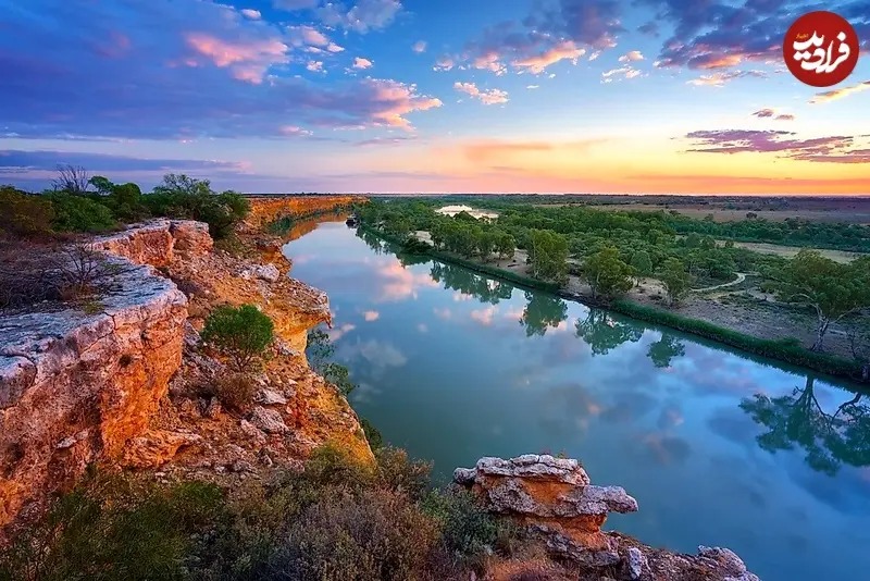 ماری ماری