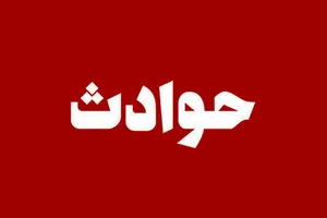 مرد سرایدار: همسرم توقعات مالی بالا داشت و چون نتوانستم برآورده کنم اختلاف داشتیم/ سرانجام او را کشتم